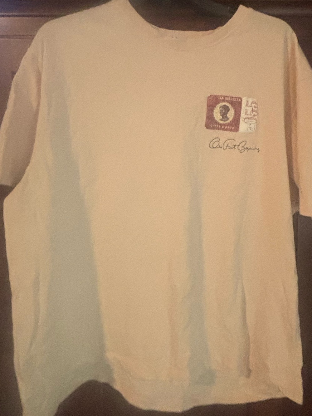 Zara Pale Pink Short Sleeve Graphic xl Tee